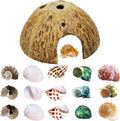 SINKOO 16PCS Hermit Crab Shells (7 Types) Growth, Hermit Crab Coconut Hut