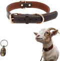 Genuine Leather Goat Collar with Brass Bell,M-22 (Neck Fits 15-19in)