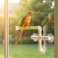Hypeety Portable Suction Cup Bird Window and Shower Perch Toy Parrot Stand