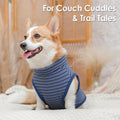BAOBICUTE 2 Pack Dog Sweater Clothes Soft Velvet Fabric Coat Dog Sweatshirt Sweaters for Small Medium Large Dogs Pullover Turtleneck Pet Puppy Clothes Cold Weather Warm Puppy Sweater