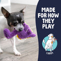 goDog Dinos Bruto Checkers Tough Plush Toy with Chew Guard Technology, Durable Checkered Fabric and Squeaker for Active 