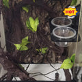 Lizard Crested Gecko Food Water Feeding Cups, 100 pcs, 1 oz