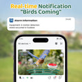 Bird Feeder with Camera Outdoor Solar: Smart Birdfeeder with AI Recognition - 2K HD Live Stream Video Camera for Outside