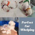 Artilife Whelping Pen for Dogs,Whelping Box for Small Dogs and Puppies,Dog Birth Supplies,Portable Whelping Pool Whelpin
