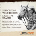 Fullbucket Health Add BioClay Plus Paste 80CC