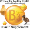 Brewer's Yeast + Probiotics + Niacin + Vitamins Supplement for Ducks, Chickens and Poultry. (Molt Recovery, Severe Stress, Egg Quality and Development) 10-Ounce Resealable Foil-Lined Pouch