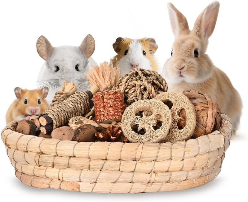 31PCS Rabbit Chew Treat Toys for Teeth Health, Natural Bunny Enrichment Toys for Boredom & Stress Relief, Keep Busy Toys