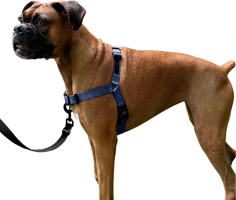 ShawnCo Dream Walk No-Pull Dog Harness