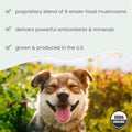 Dr. Mercola Bark & Whiskers Organic Fermented Mushroom Blend - Cat & Dog Supplement - Supports Digestive & Immune Health - Free from Additives, Filler & Gluten - 2.11 oz. (60 Scoops)
