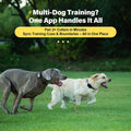 GPS Wireless Dog Collar Fence System - No Monthly Fee App Control, Custom Polygon Boundary & Remote Training, Free Phone