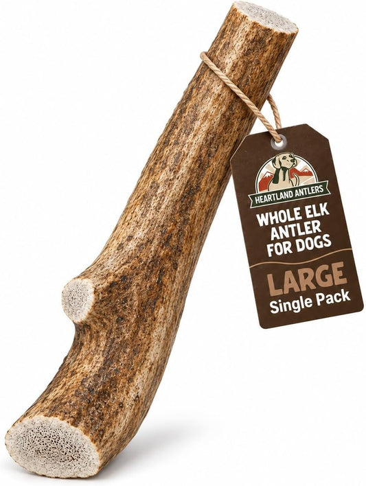 Heartland Elk Antlers for Dogs - Daily Dental Care Chews for Aggressive Chewers to Reduce Plaque & Prevent Destructive Behavior (Splinter Free, Whole, 7", Large, 1-Pack, Grade A, USA Made)