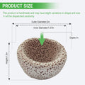 Anemone Nest, Saltwater Aquarium Accessories, Anemone Ideal Habitat, Nipple Nest for Aquarium Aquascaping (Flat Mouth 2.