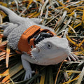 3 Pack Bearded Dragon Harness and Leash Set - Adjustable Soft Leather Lizard Harness with Retractable Leash Small Animal