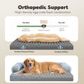 Large Dog Bed Orthopedic Washable - Beds Bolster - Medium XL XLarge Big Dogs - Memory Foam Couch Sofa - Waterproof with Removable Cover