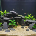 Aquarium Rock Natural Slate Rocks 2 to 4 inch Aquariums Stone for Aquascaping,Terrariums,Reptile Enclosures,Paludariums,