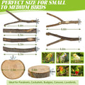 CZWESTC 8 PCS Bird Perch Set for Cage - Natural Apple Wood Platforms & Hardwood Branches for Parakeets, Budgies, Cockatiels - Small Bird Habitat Gym, Climbing Stand & Safe Chew Toys