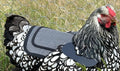 DOWN UNDER OUTDOORS Chicken Saddle with Adjustable Straps for Medium and Large Hens, Chicken Apron, Poultry Saver, Pet Supplies, Including Shoulder Cover (Grey Mesh)
