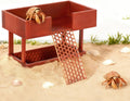 Hermit Crab Water Bowl with Climbing Platform, Rest Platform for Hermit Crab, Reptile Habitat Toy Decoration Accessories