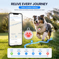 GPS Tracker for Dogs, Smart Pet Tracker Collar, Real-Time Location Tracking, Pet Location Tracker, No Monthly Fee, No SI
