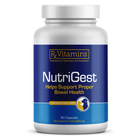 Rx Vitamins NutriGest Capsules for Cats & Dogs - Probiotics for Digestive Health Enhanced with Glucosamine for Gut Health Support - Helps with Constipation Relief and Anti Diarrhea - 90 Capsules