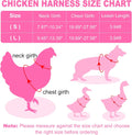 Adhafera Chicken Harness with Leash, Upgraded Double Adjustment Chicken Harness and Leash Set for Hens, Duck, Goose, Sma
