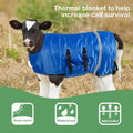 Dunzy 4 Pcs Calf Blanket Calf Coat Jacket Foal Blanket Warming Waterproof Windproof Saver Livestock for Cows Goats