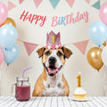 Pet Birthday Crown with Age Numbers, Adjustable Reusable Dog Birthday Hat
