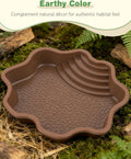 Pawfly Reptile Bathing Pool with Ramp, Reptile Food Dish Feeding Dish, Tortoise Water Dish Water Bowl with Steps, Turtle