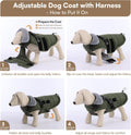 Queenmore Winter Dog Jackets for Medium Dogs with Harness Built-in