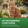 Vetoquinol Enisyl-F Oral Paste: L-Lysine Supplement for Cats - Tuna Flavor, 3.5oz (100mL) Pump