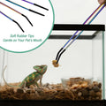 Syn-zer Reptile Feeding Tongs, 10.6" Straight & Curved (Multicolor)