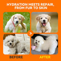 PUAINTA Dog & Cat Shampoo for Itchy Skin Relief, Hypoallergenic, Unscented, 16oz