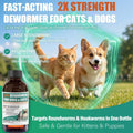 Liquid Dewormer 2X for Dogs & Cats, Pyrantel Pamoate Oral Liquid for Large Roundworms & Hookworms, Easy-to-Give Formula 