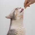 Open Farm Kitty Cubes, Freeze Dried Raw Treats, Chicken & Turkey, 1.5oz Bag