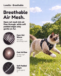 Luxelle Escape Proof Cat Harness with Retractable Leash & Wrist Strap Set