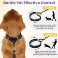 Crazy Felix No Pull Dog Collar, Hidden Martingale Training Collar