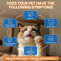 WEALLIN L-lysine Supplement for Cats, Immune Support for Cats, Support for Feline Respiratory, Sneezing, Runny Nose, Eye Function, Helps Strengthen Natural Defenses, Chicken Flavor (1PC)