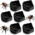 6 Pcs Spider Micro Water Bowls, Tarantula Enclosure Accessories, Mini Resin Dish for Tarantula, Spider, Millipede and Ti