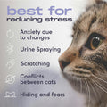 BUDDYJOY Cat Calming Diffuser Refills – Long-Lasting 30-Day Formula, Cat Pheromones Calming Diffuser for Stress Relief, Relaxation, and Anxiety Reduction, Easy to Use – (2 Diffusers + 2 Refills)