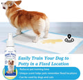 Petstoral Dog Potty Training Spray Set, No-Go and Here Potty Training Sprays for Dogs of All Ages Including Puppies