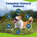 YoYoBay Flea & Tick Prevention for Dogs Chewables, Natural Dog Flea and Tick Control Treatment, Oral Flea Pills, Dogs Supplement, Natural Shield 5-in-1 Protection, Beef & Carrot Flavor, 180 Soft Chews
