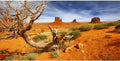 AWERT 36x18 in Terrarium Backdrop Orange Desert Reptile Habitat Background