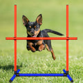 mioule Dog Agility Training Equipment, 2-Sets Adjustable Dog Jumps & Hurdles Set for Backyard, Outdoor Dog Obstacle Course Training Starter Kit with Weave Poles and Carrying Bag for Large Small Dogs