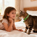 2 Pack Cat Collar with Bells, Breakaway Reflective Kitten Collars with Safety Buckle Adjustable for Girl and Boy Pets, Purple