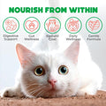 Probiotics for Cats Chews 500PCs - Digestive, Gut Health & Diarrhea Support - Probiotic Chews for Feline - Crunchy & Creamy with Cat Probiotics, Enzymes & Natural Ingredients - Salmon