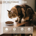 Ceramic Cat Food Bowls for Indoor Cats and Kitten, 4 Cute Cat Feeding Bowls Shallow Whisker Relief Dishes for Cats, 5.9" Wide Pet Plates for Wet & Dry Food and Water, Non-Slip Base, with 4 Spring Toys