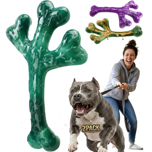 Frienhund 2 Pack Indestructible Dog Chew Toys for Aggressive Chewers - XL Textured Cactus with Grooves for Peanut Butter & Yogurt, Beef Nylon Bones for Large Dogs 20-90 lbs, Easy Chew & Long Lasting