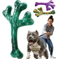 Frienhund 2 Pack Indestructible Dog Chew Toys for Aggressive Chewers - XL Textured Cactus with Grooves for Peanut Butter & Yogurt, Beef Nylon Bones for Large Dogs 20-90 lbs, Easy Chew & Long Lasting
