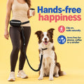 Race&Herd Hands Free Dog Leash with Zip Pouch — Bungee Waist Belt