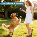 Sunraymascota 6-Pack Tennis Balls for Dogs Fetch Toys,for Beginner Practice